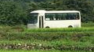 展望台までいける便利なバス