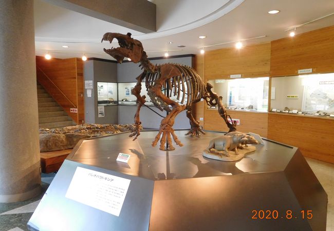 おがの化石館 クチコミ アクセス 営業時間 小鹿野 皆野 フォートラベル おがの化石館 クチコミ アクセス 営業時間 小鹿野 皆野 フォートラベル