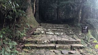 登ると意外に急かも