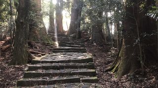 石畳と石段の参道