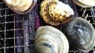 綺麗な海と温泉と