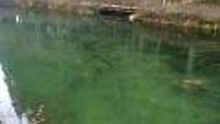 時期が悪かったかな。