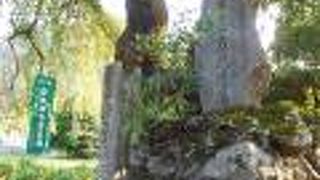 境内もすごく素敵な長泉院です。