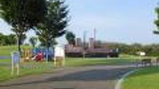 桜が咲いていなくても楽しめる公園です。