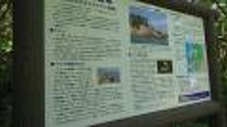 伊師浜海水浴場 クチコミ アクセス 営業時間 日立 フォートラベル