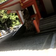 新型コロナウィルス感染予防のため休館