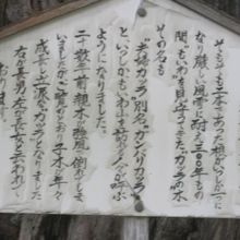 夫婦カツラの解説はこちらで。