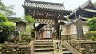 身代わり釈迦如来は必見