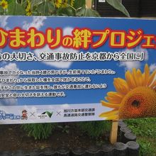 プロジェクトを案内する看板の様子