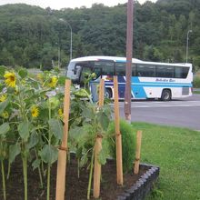 道北バス「なよろ号」は基本的にはこちらのPAで休憩します