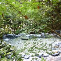 杉木立に囲まれた森林露天風呂