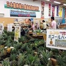 パイナップルの品ぞろえ豊富