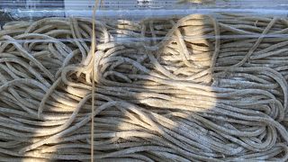 そばがおいしい