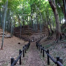 大規模な空堀。