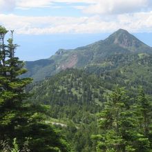 眺望が楽しめます