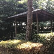 坂になっている公園で上からの道が分かりにくい