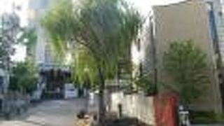 参道の途中にある柳の井戸