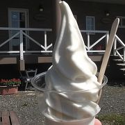 超暑い！ノルディックファームのアイスを貪り食う！