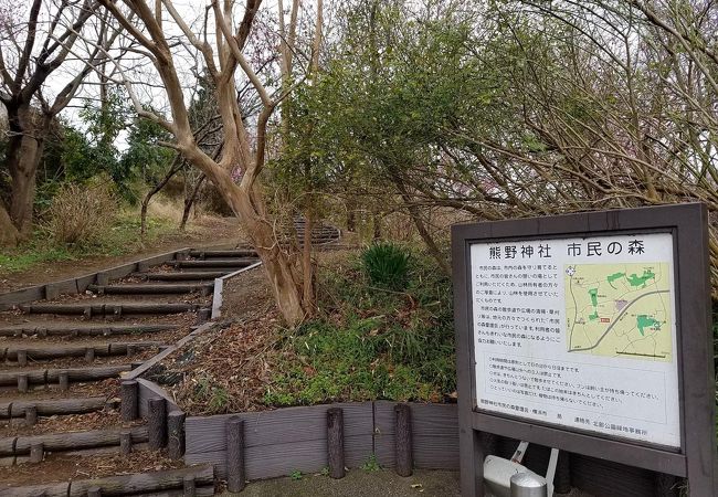 師岡熊野神社の南側にも