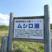 巨岩のムシロ