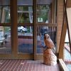 ロケーションが最高