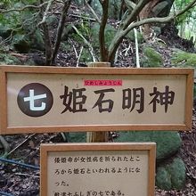 さらにこの公園の丘の東側の山道を下る場所