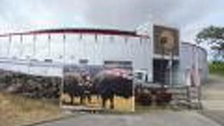 島のコロッセオ