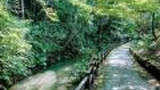 緑が豊富なせせらぎ沿いの散歩道