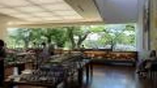 素晴らしい景色