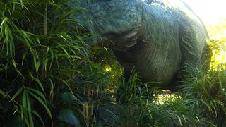 短いですが楽しい