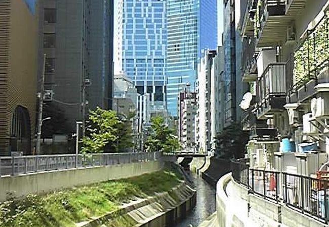渋谷川 クチコミ アクセス 営業時間 渋谷 フォートラベル