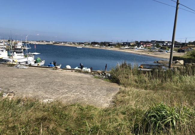 あの鮪が水揚げされる大間港！