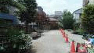 旧品川宿に似合う街道松のある広場