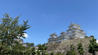 もはや言わずと知れた