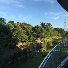 部屋から眼前の海が、絶景が見えないなんて…