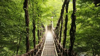 入場料550円は高すぎると思います