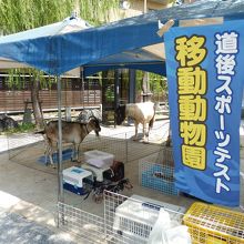 移動動物園が出てました