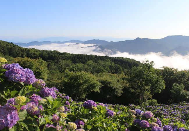 美の山公園 クチコミ アクセス 営業時間 小鹿野 皆野 フォートラベル