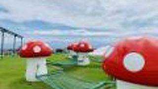 予想以上に楽しめました！