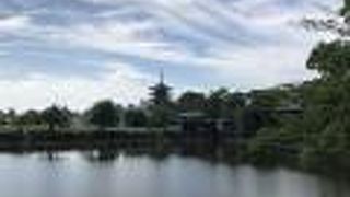 興福寺五重塔が映える