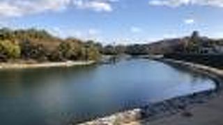 後楽園と岡山城の間