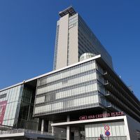 岡山駅直結の建物に入居するホテルです