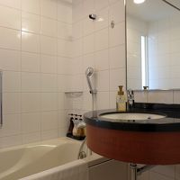 そのバスルームは広さはさほどではありませんが問題なし