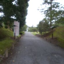 公園の様子の一部です。