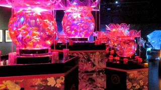 ((* ´艸｀))ジャポニズム”リアル”へのこだわり！生きている美術館で生命の美しさを展示☆彡