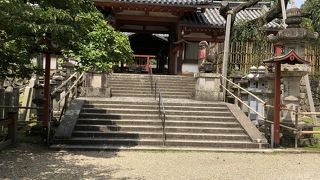 池に鹿が・・。