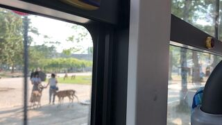 奈良公園からJR奈良駅まで。