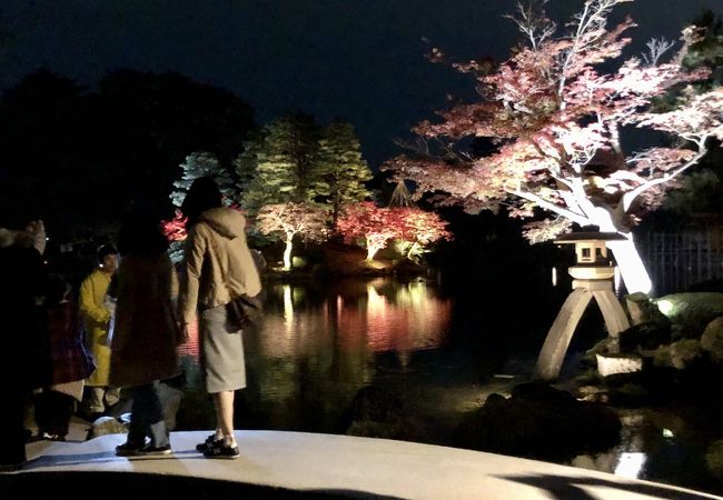 兼 六 園 ライト アップ 兼六園 金沢城 夜桜花見 ライトアップ 兼六園無料開放 年