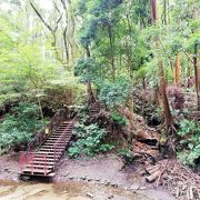 渓谷だから　ちょっと涼しいかな～　陣ヶ下渓谷公園へ行ってみた