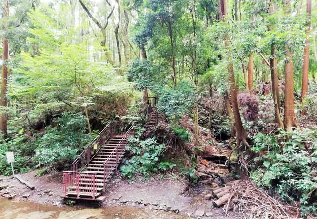 渓谷だから　ちょっと涼しいかな～　陣ヶ下渓谷公園へ行ってみた